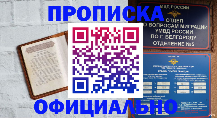 временная регистрация для школы в Камышине